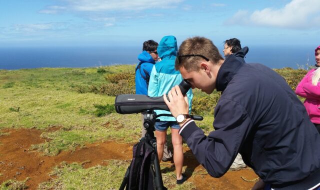 nature, observation, binoculars, binoculars, binoculars, binoculars, binoculars, binoculars