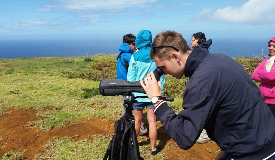 nature, observation, binoculars, binoculars, binoculars, binoculars, binoculars, binoculars