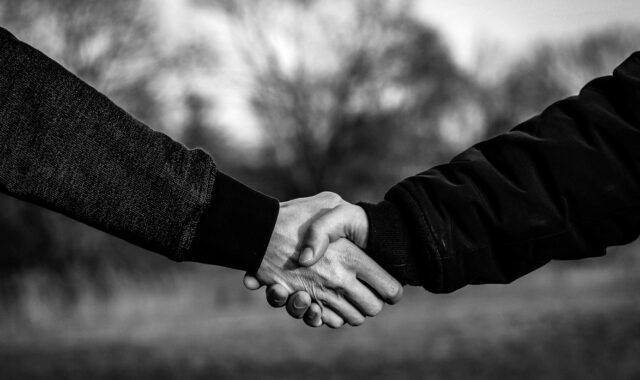 handshake, shaking hands, hands, greet, welcome, make a date, some, agree, peace, friendship, to get to know, handshake, handshake, handshake, handshake, handshake, shaking hands, shaking hands, shaking hands, welcome, agree, agree, agree