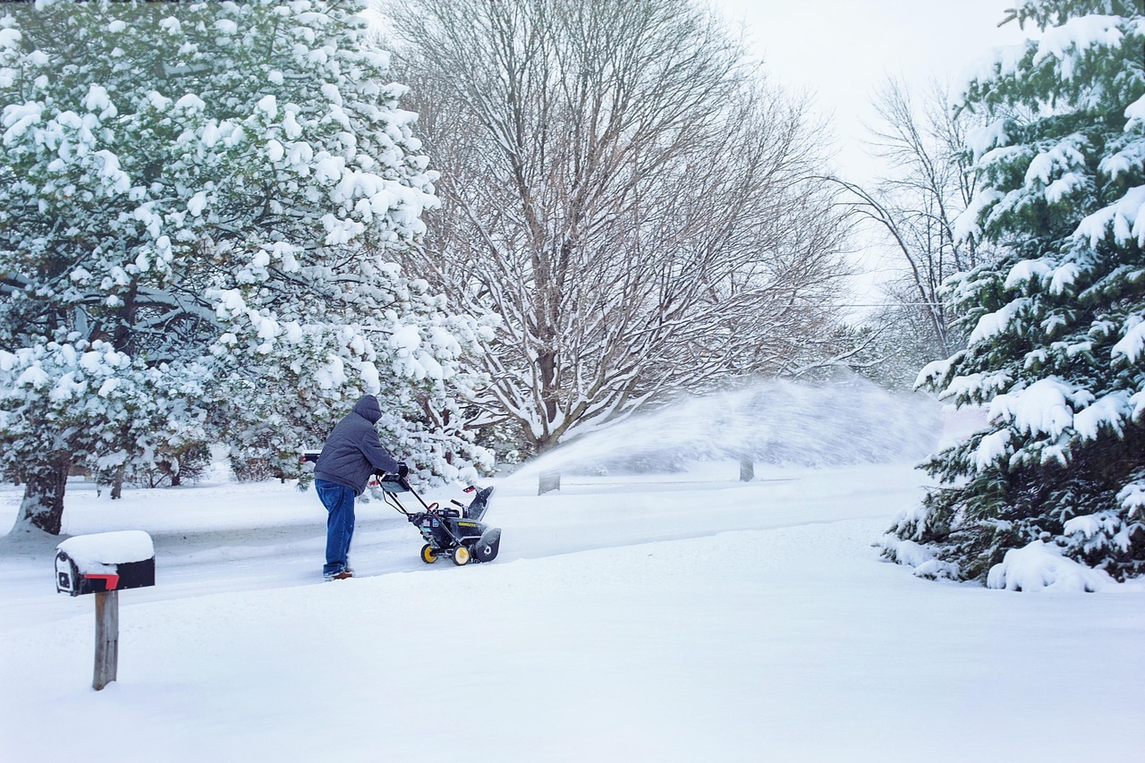 snow, snow blowing, snowblower, snow removal, weather, nature, winter, cold, blower, outdoors, season, snowstorm