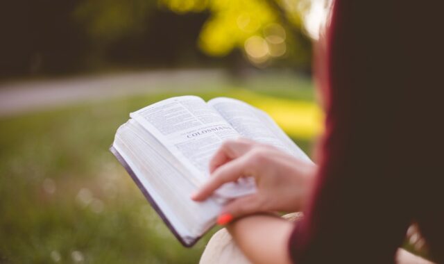 people, girl, sitting, reading, book, bible, hand, outdoor, brown book, brown books, brown reading, brown bible, bible, bible, bible, bible, bible